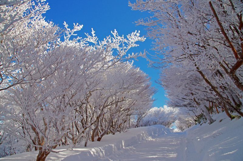 Mt. Gozaisho/Gozaisho Ropeway