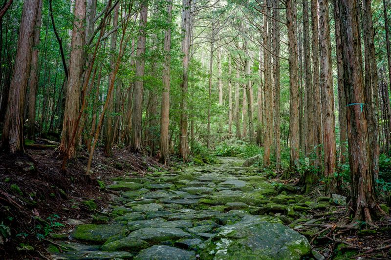 World Heritage Site Kumano Kodo Iseji. Nature worship and beautiful cultural landscapes existing for over a millennium continue to be passed on to future generations