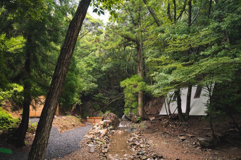 En lo profundo del bosque, a 5 minutos de la estación de tren