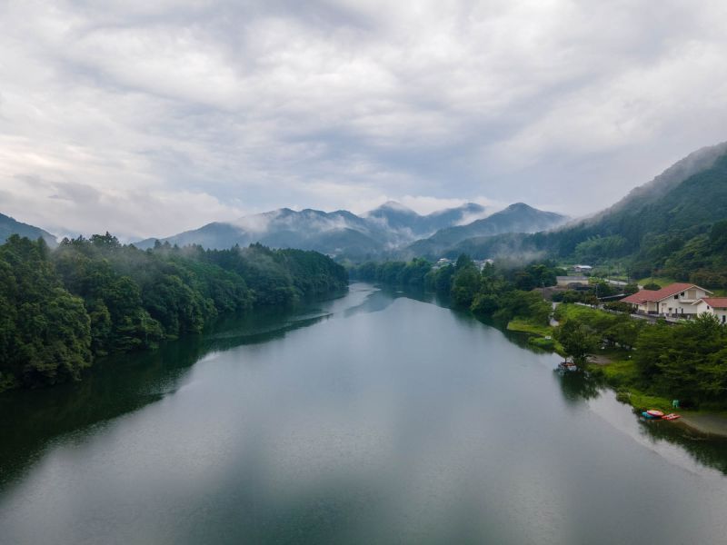 Navegando por el río