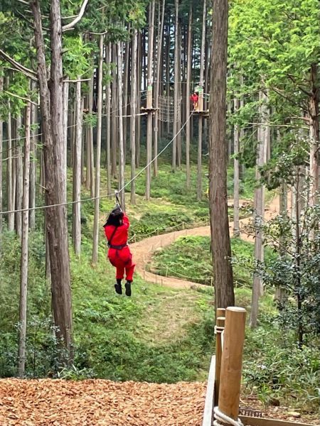 Las tirolinas a través de las copas de los árboles del bosque son muy emocionantes.