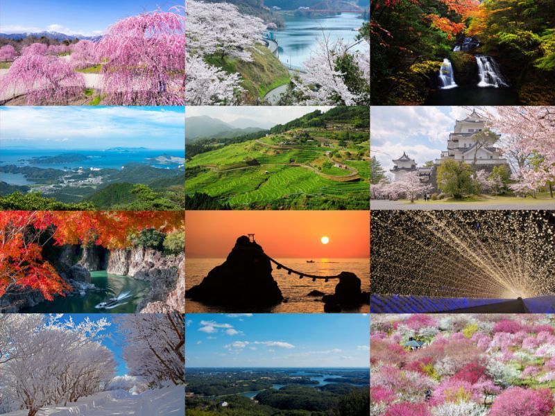 단풍, 벚꽃, 매화 … 멋진 사진으로 남길 수 있는 명소들!