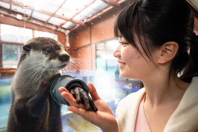 眾多可愛動物就在你身邊!能用超近距離與海洋動物親密接觸的水族館「伊勢SEA PARADAISE」(伊勢海洋互動水族館)