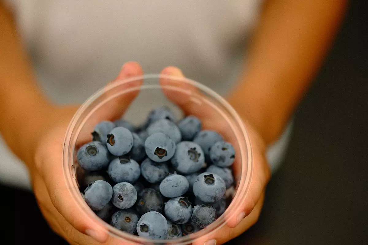 Akatsuka Blueberry Garden