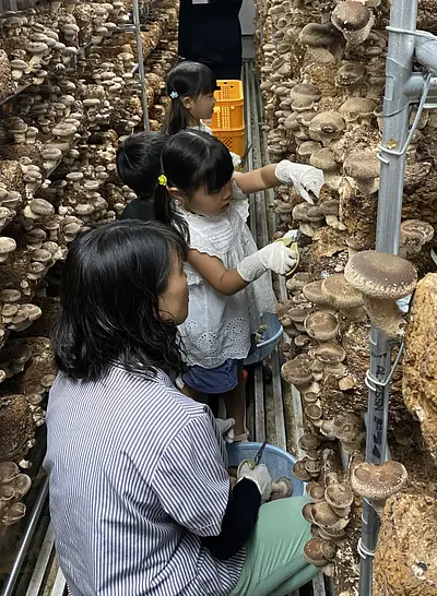 年長さん程度から体験可能です♪