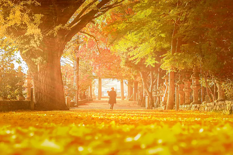 Famous spots for autumn leaves in Mie Prefecture