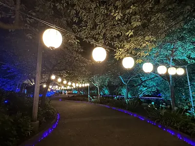 Une explication approfondie des illuminations estivales de Nabana no Sato en 2024 ! Le thème de cette année est &quot;Les lumières d&#39;été dans le village&quot;.