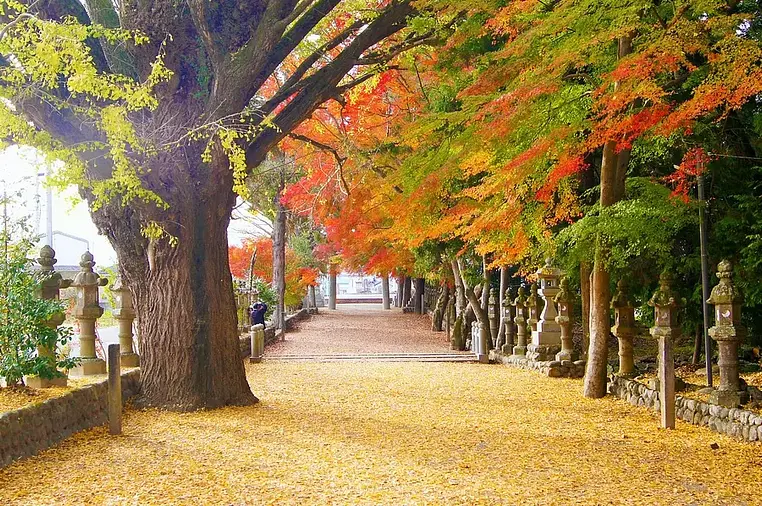 三重県の紅葉特集【2023年版】おすすめの名所・穴場と見頃情報をご紹介