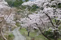 大滝峡キャンプ場