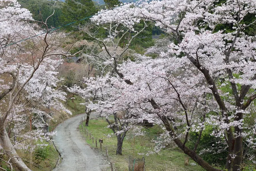 大滝峡キャンプ場