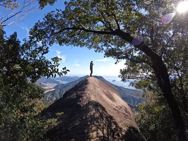 espalda de elefante