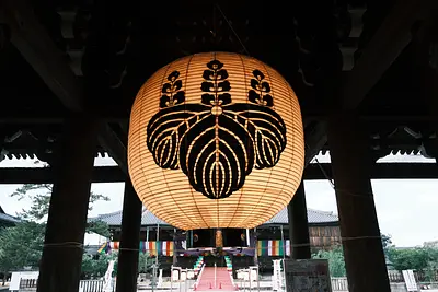 高田本山専修寺のライトアップ（10）