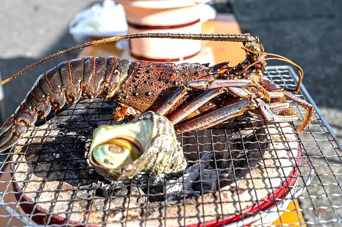 年末きいながしま港市