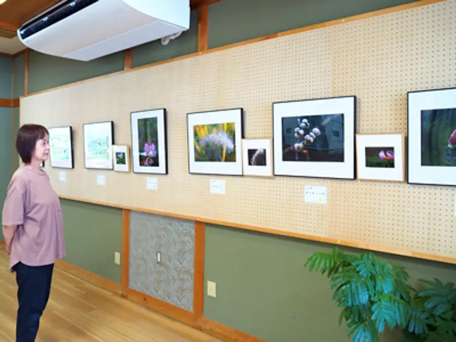 [Exposición] (Estación Hase) Novena exposición fotográfica de Hiroshi Ohno