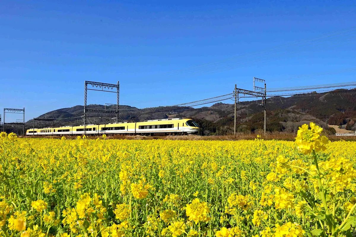 三重県2月の風景