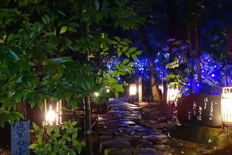 Luz fluorescente del onsen de Sakakibara