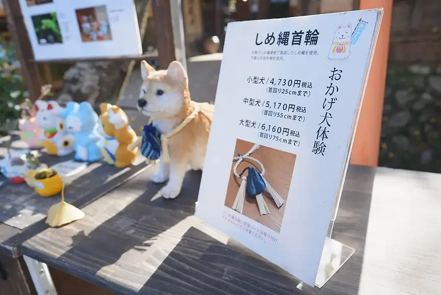 愛犬と楽しむおかげ横丁🐕柴犬りんご郎一家が「おかげ犬体験」でお得に散策！ | 取材レポート | 観光三重(かんこうみえ)