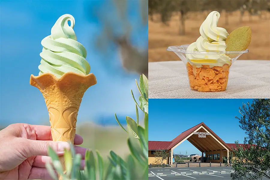 三重県で食べたいソフトクリーム15選🍦三重県の地元牛乳や特産品を使ったご当地ソフトクリームなどを紹介します！ | 取材レポート |  観光三重(かんこうみえ)