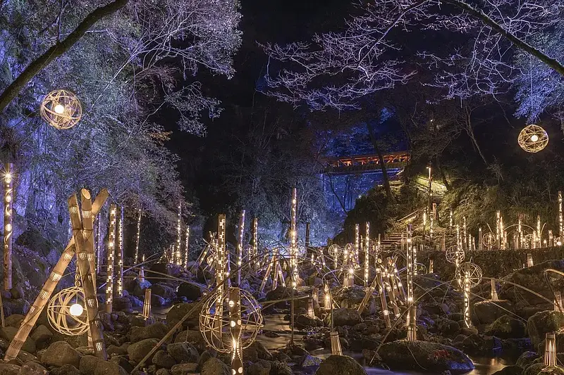 Iluminación de la prefectura de Mie/evento especial de Navidad 2023-2024 ♪