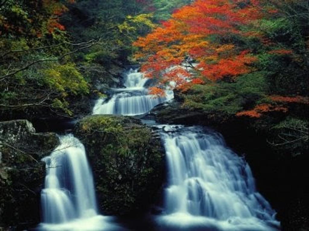 癒しの三重 極上エステをあなたにの写真(三重県津市)