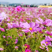 회화처럼 아름답고 환상적인 풍경은 보기