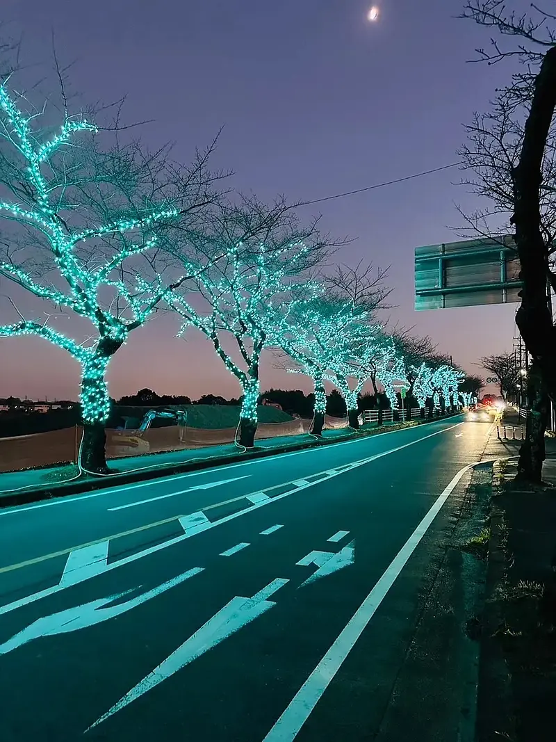 Illumination hivernale de Komono (ville de Komono)