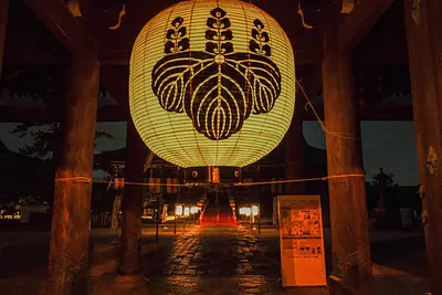 高田本山専修寺のライトアップ（3）