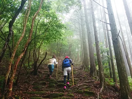 Randonnée mer/montagne de deux jours à Owase