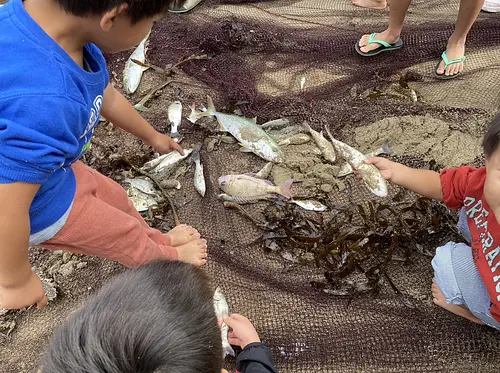 我想知道我能抓住什麼！ ？漁村特有的體驗活動♪相位差（osatsu）圍網體驗！ 〜捕獲的魚也大量用作生魚片♪〜