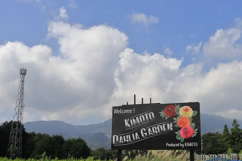 ¿Qué es KIMOTO Dahlia Garden Co., Ltd.?