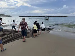 何が獲れるかな！？漁師町ならではの体験イベント♪　相差地曳網体験！　〜獲れた魚もお刺身で大盤振る舞い ♪〜