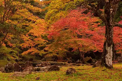 Famous autumn foliage spots in Mie Prefecture (photos of autumn foliage at Kitabatake-JinjaShrine)