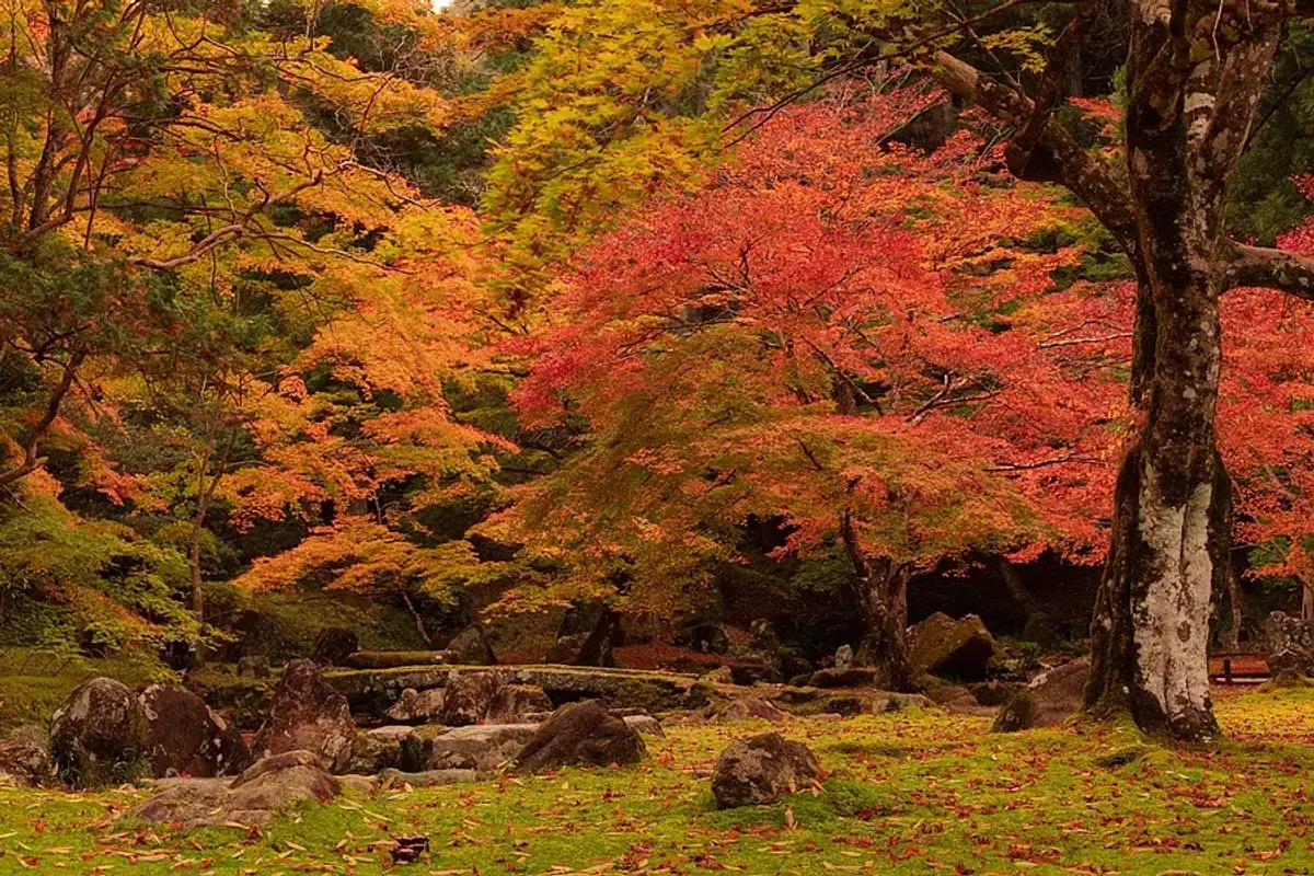 三重県の紅葉の名所（北畠神社の紅葉・スポット写真）