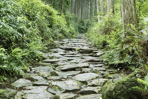 「神秘の石畳とヒノキ林の道」散策in熊野古道馬越峠