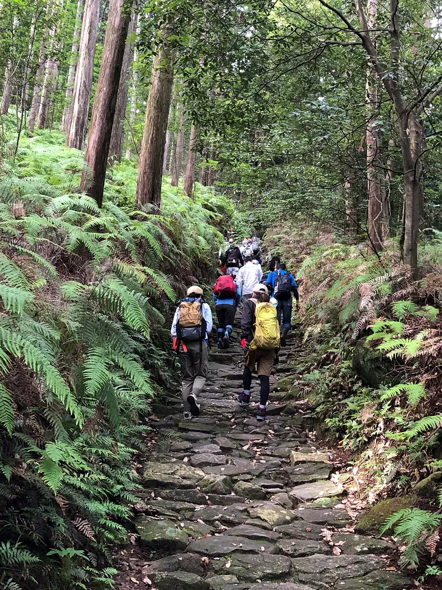 尾鷲セラピストと歩く熊野古道・馬越峠