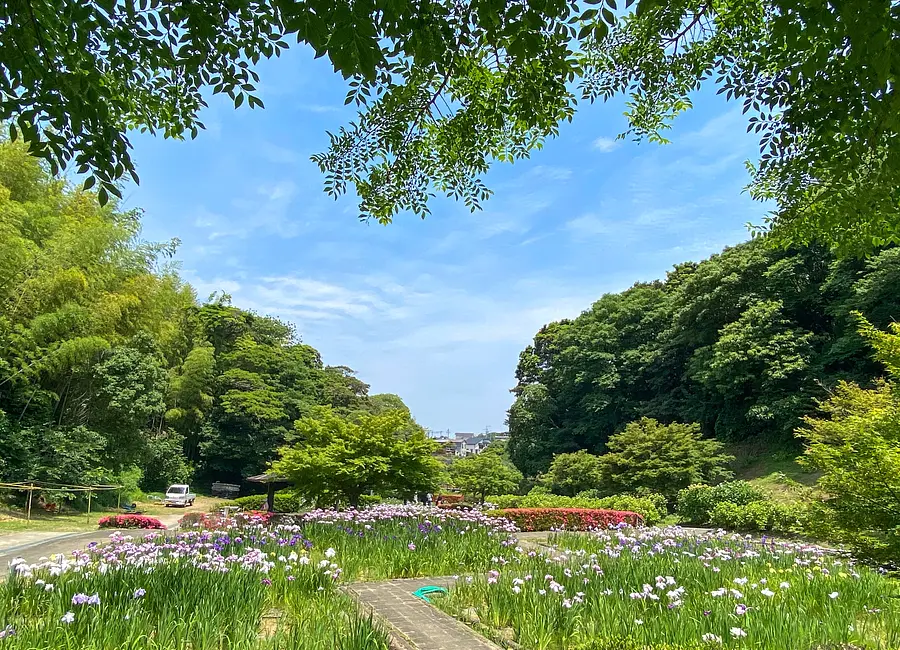 Jardín de iris Kameyama