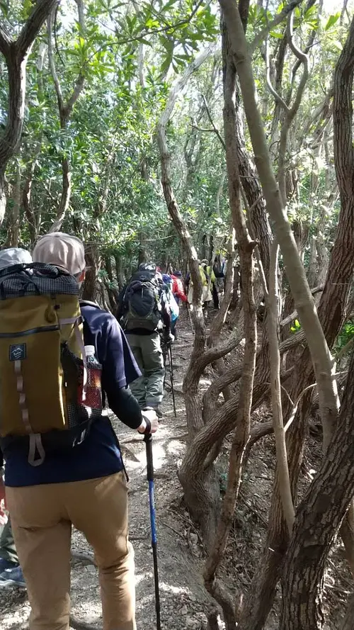 【2025年12月】 登山徒步活动