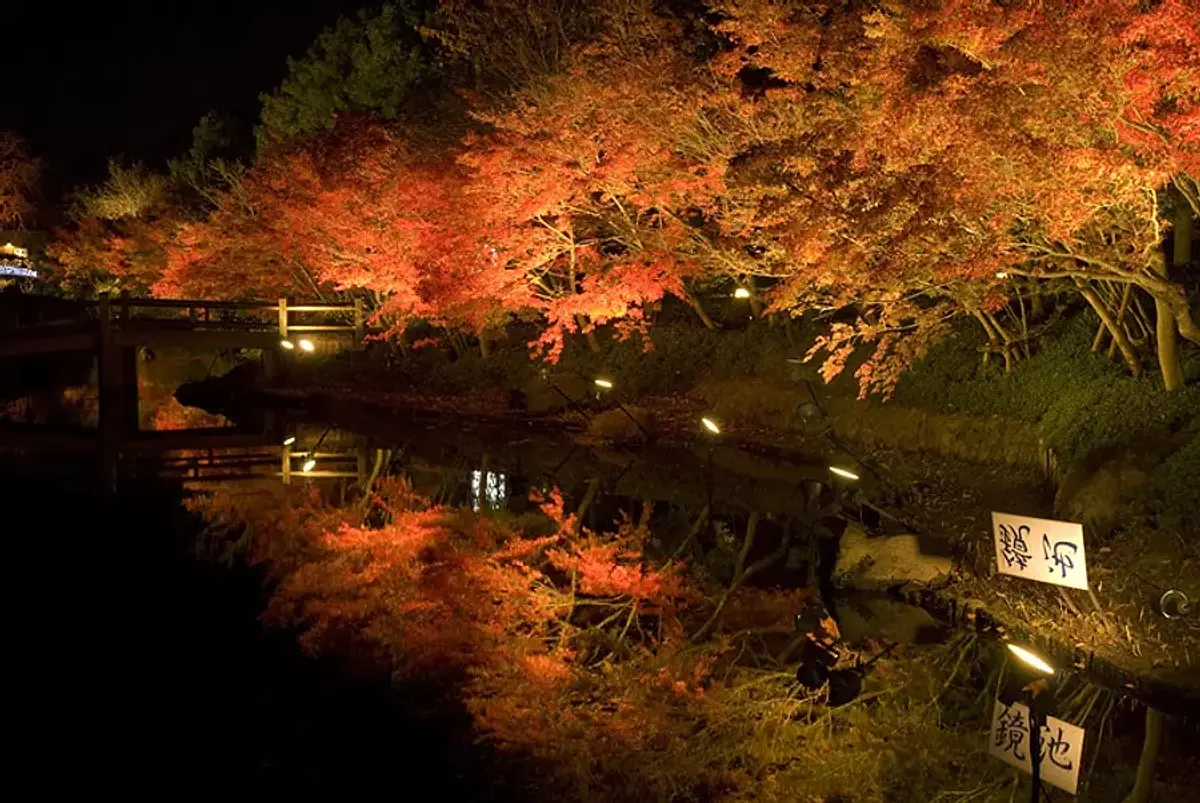 Illumination des feuilles d'automne dans la préfecture de Mie