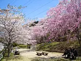 玄工山広場　桜公園