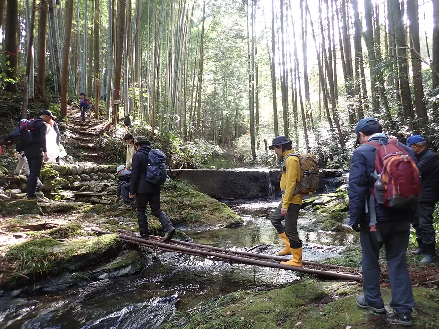 熊野古道散策/渡船体験と古道ボランティア整備