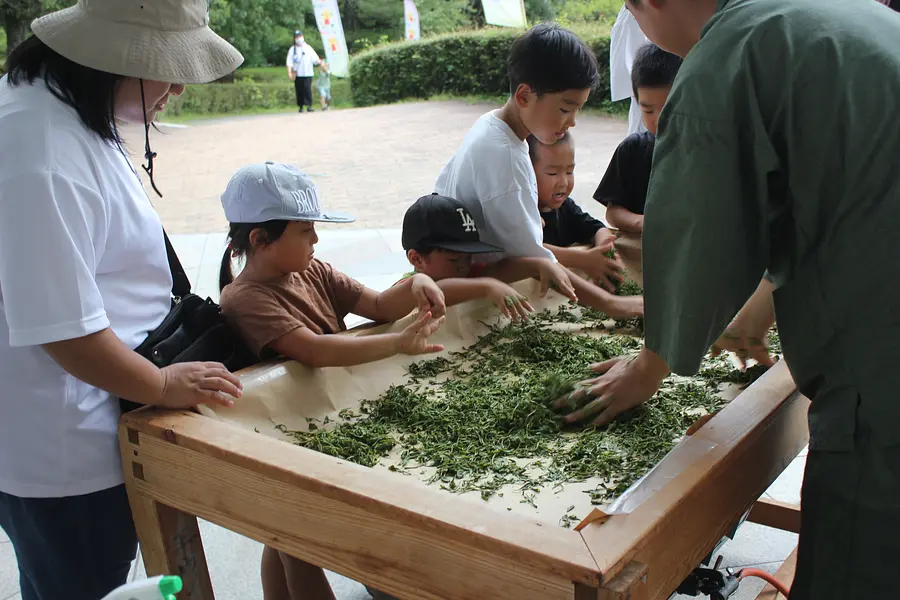 伊勢茶を楽しん茶お！