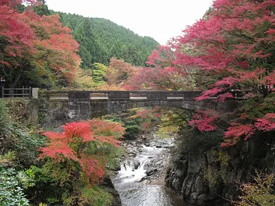 河内渓谷の紅葉