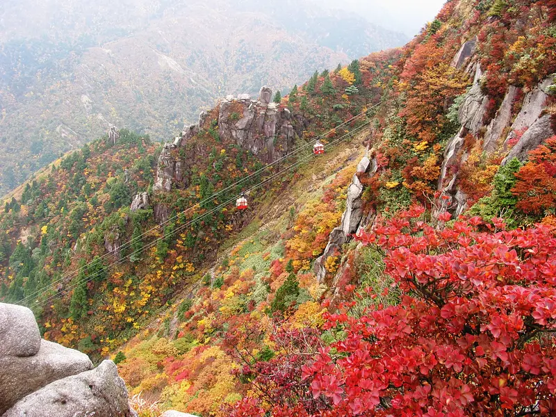 御在所の紅葉（フォトギャラリー）