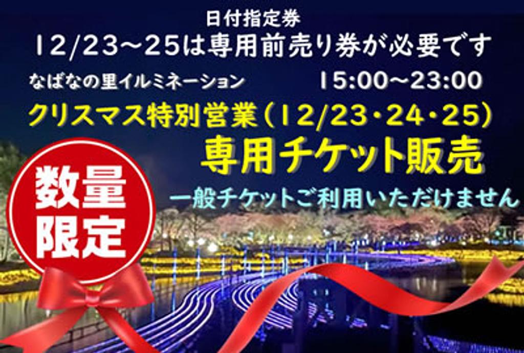 お歳暮 なばなの里 12/24日 イルミネーション 2枚セット | www