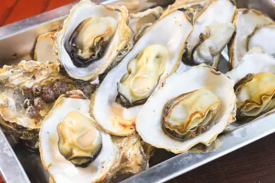 Oyster hut in Mie Prefecture