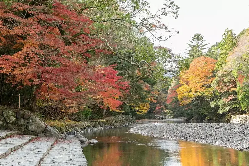 伊勢神宮の紅葉（スポット・イベント）