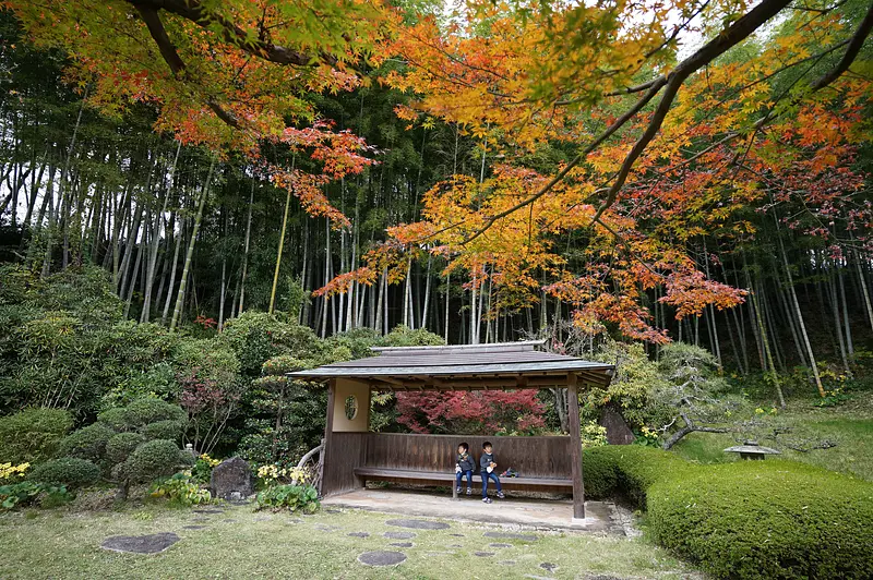 Autumn leaves at Kokoro-an