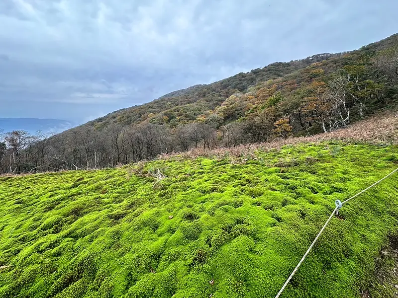 鈴北岳