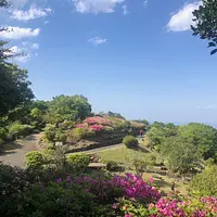 朝熊山のつつじ【花】