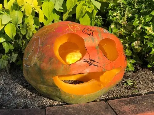 Jack-o&#39;-lantern making experience